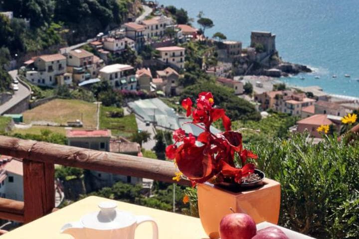 Limoneto Di Ercole photo 5
