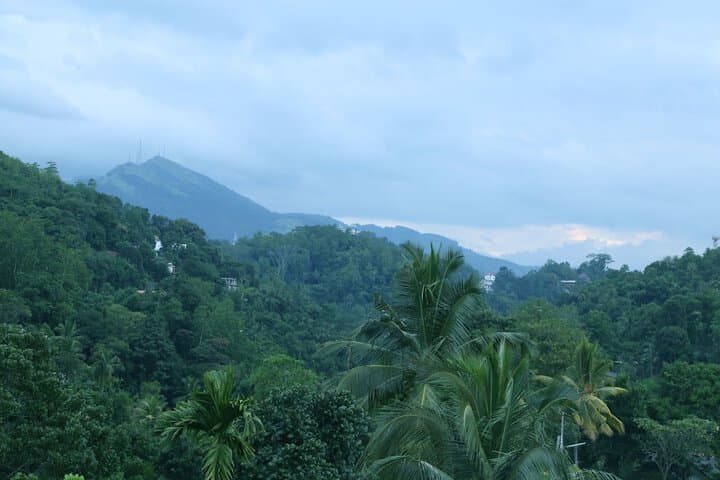 Moon Hills Hotel photo 2