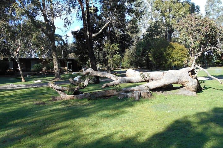 Grampians View Cottages&Units photo 3