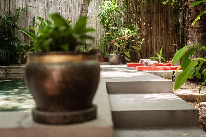 Maison 557 photo 5