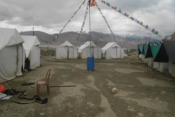 Golden Mark Camp photo 3