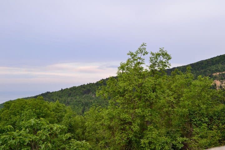 Apalni Cottage photo 2