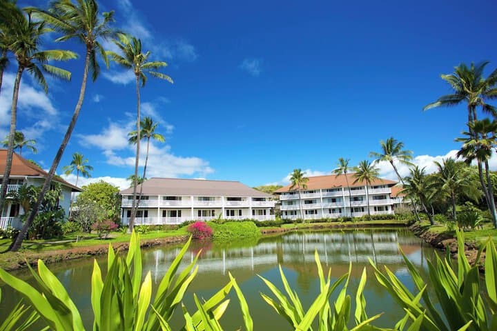 Koloa destination view