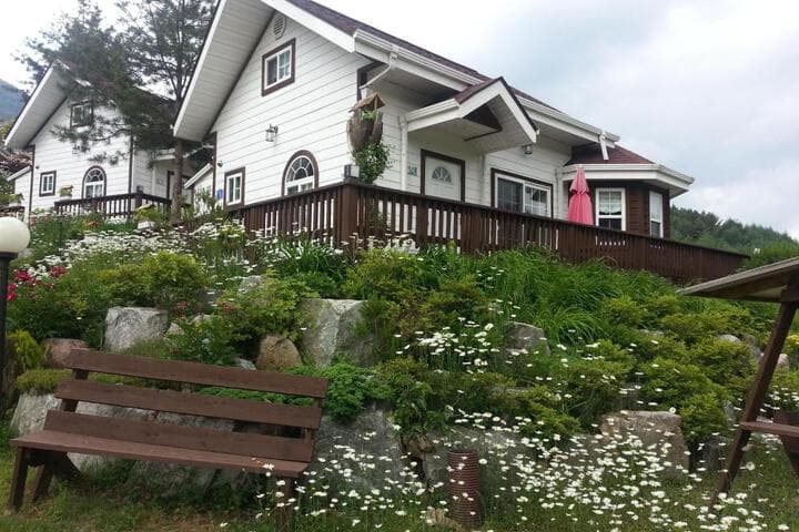 Sunny House photo 3