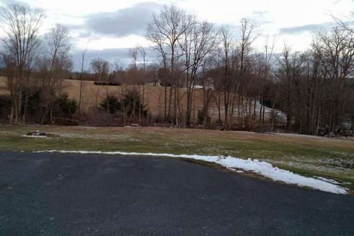 Locust Tree Bed&Breakfast LLC photo 2