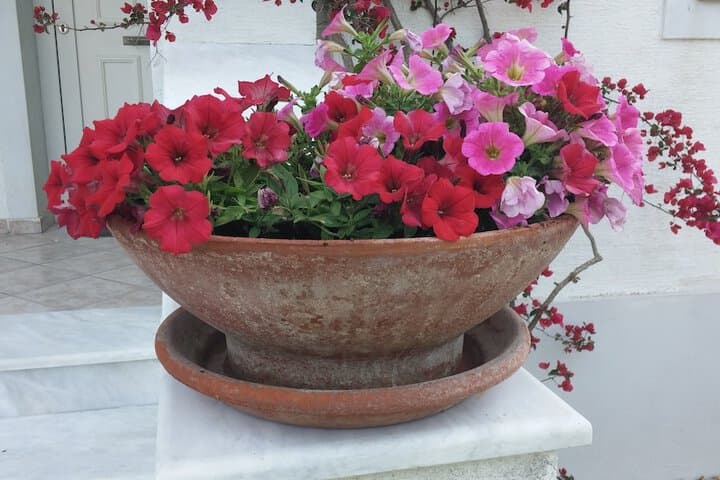 Corfu Anastasia photo 3