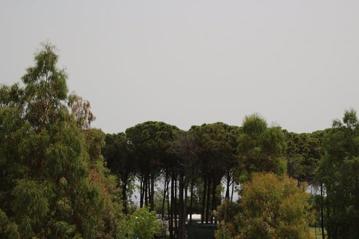 Levante photo 2