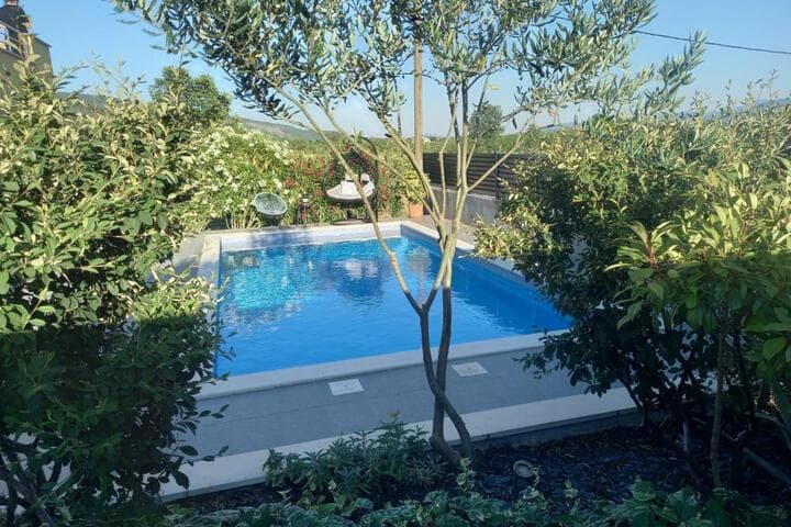 Villa Laura photo 2