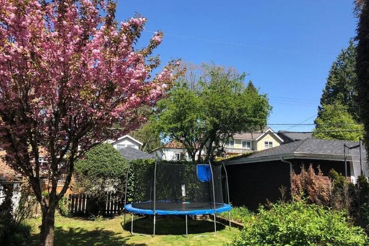 The Sunshine House photo 4