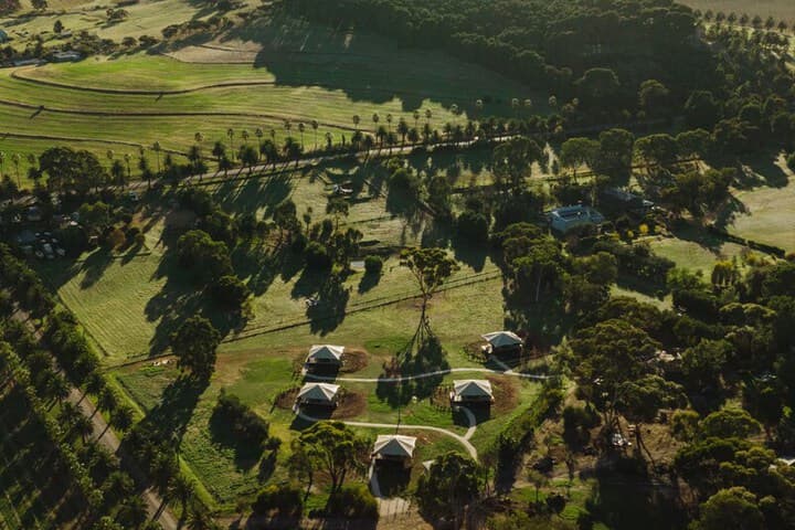 CANVS by CABN Seppeltsfield Barossa photo 3