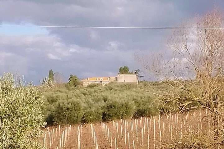 Borgo Cenaioli photo 3