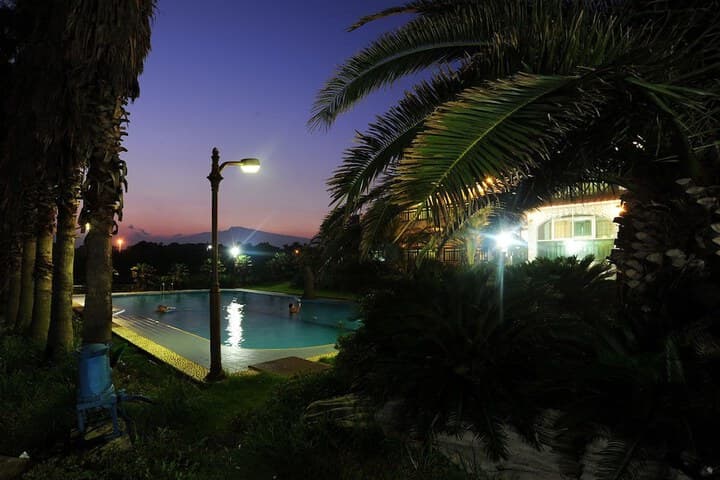 Dream Castle photo 5