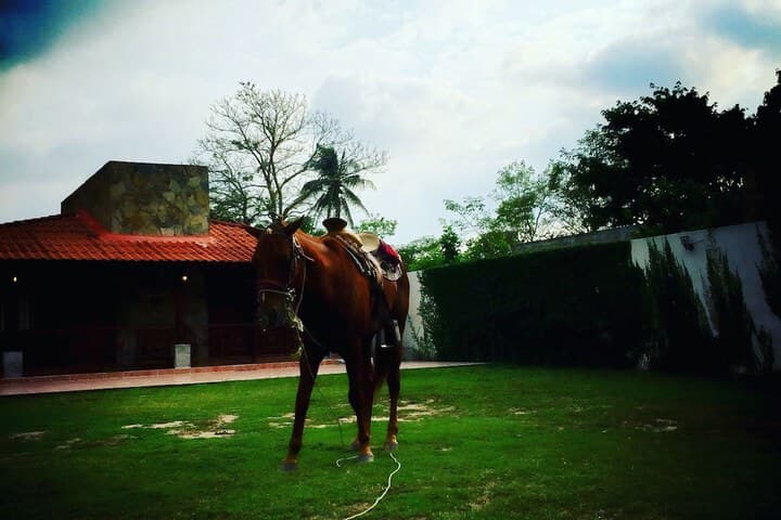 Estancia Ecologica LOS FUNDADORES photo 3