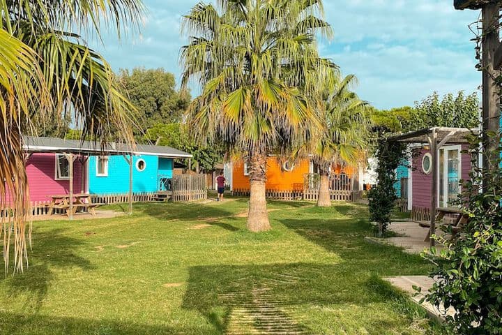 Camping 3 Estrellas photo 4