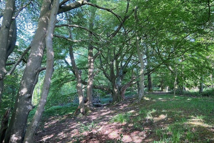 5 Charlton Mill Way B&B photo 4