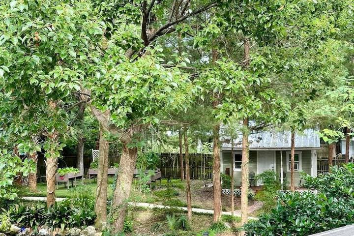 Grady House Bed & Breakfast photo 3