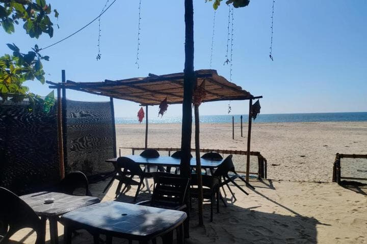 Dolphin Beach House photo 1