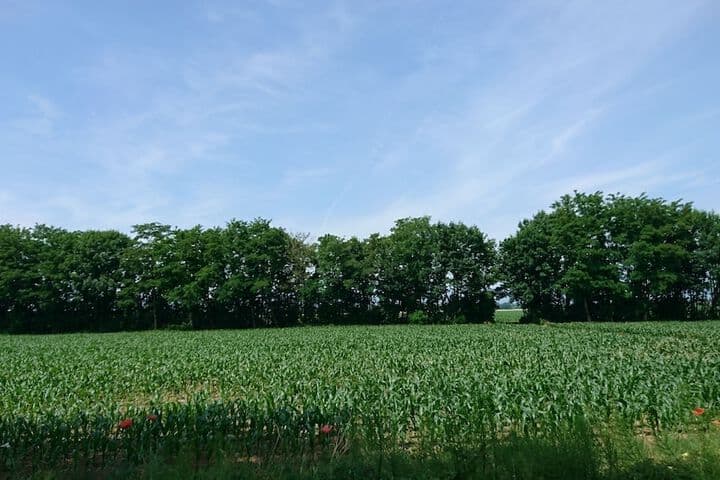 Le Moulin dOscar photo 4