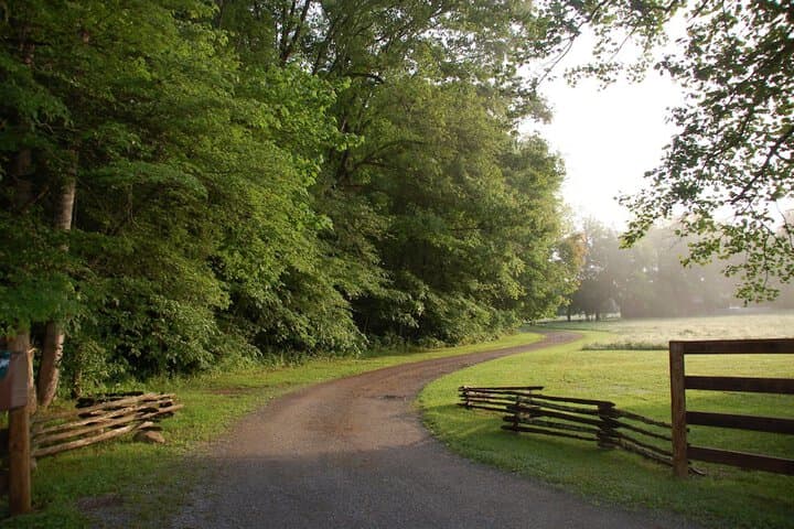Creekwalk Inn&Cabins photo 5