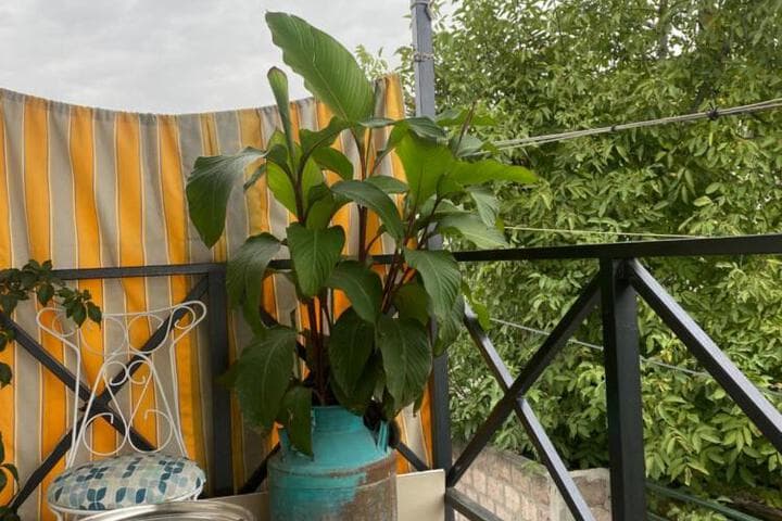 Gallery Guesthouse photo 2