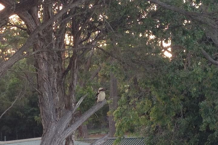 Huskisson Beach B&B photo 4
