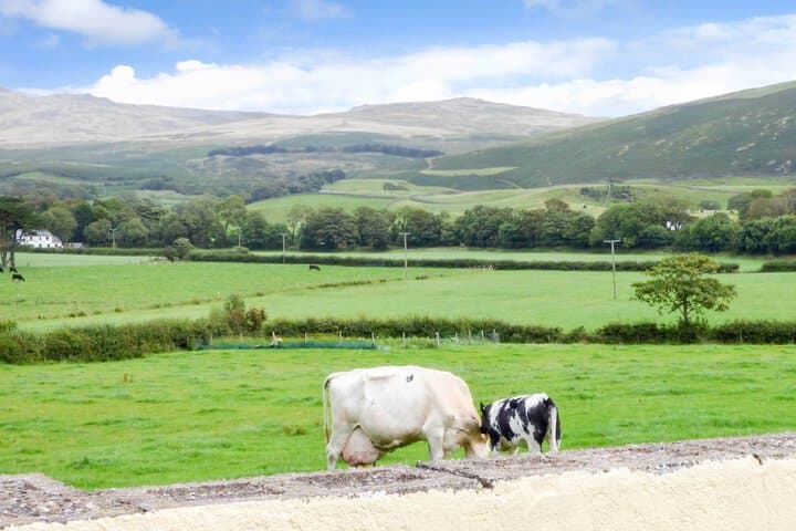 Fell View Cottage photo 3