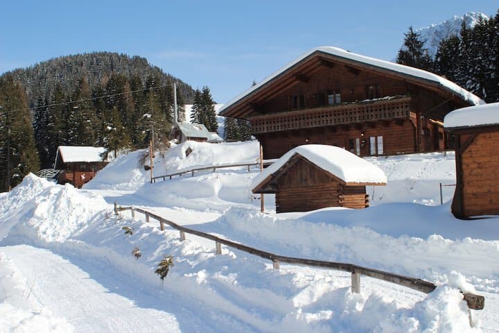 Alpin Haus photo 3