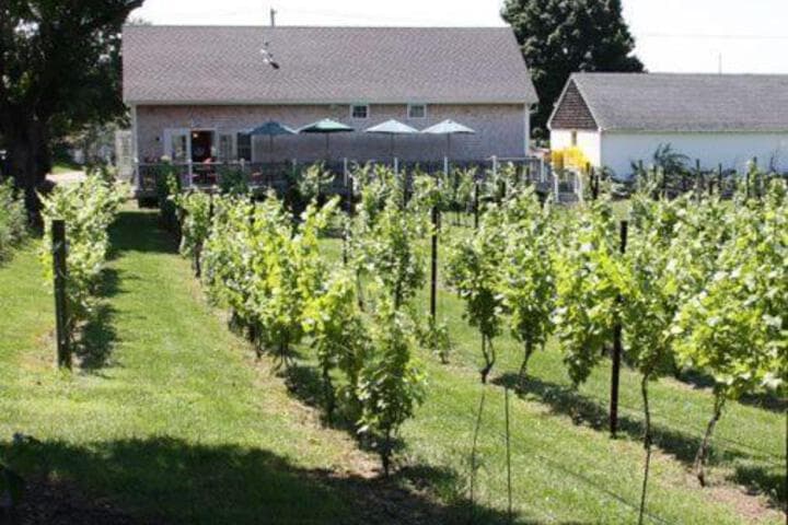Langworthy Farm Bed & Breakfast photo 5