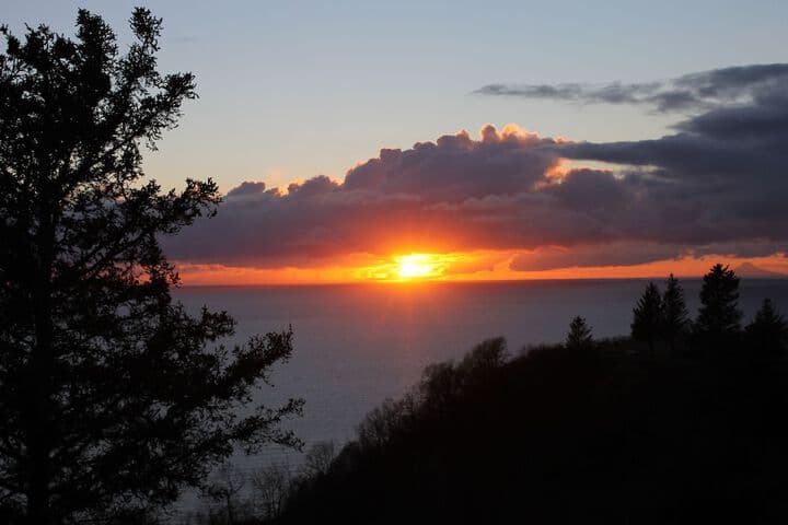 Alaskan Suites photo 3