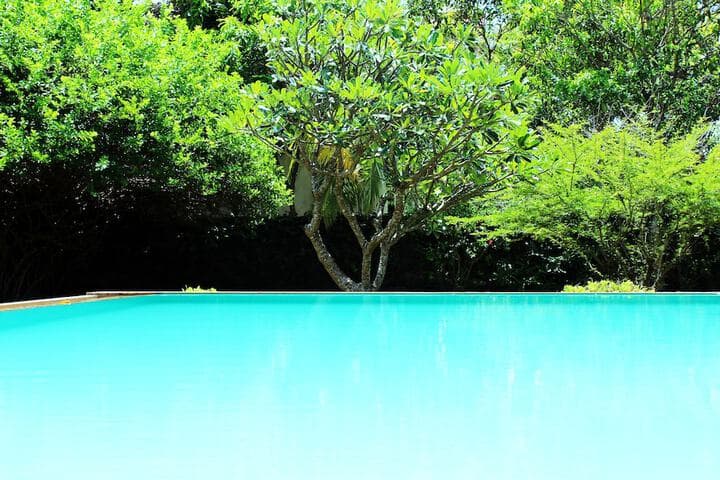 City Hub Lagoon photo 4