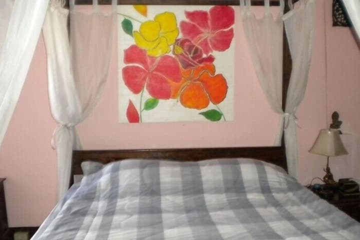 Nickys Guesthouse photo 5