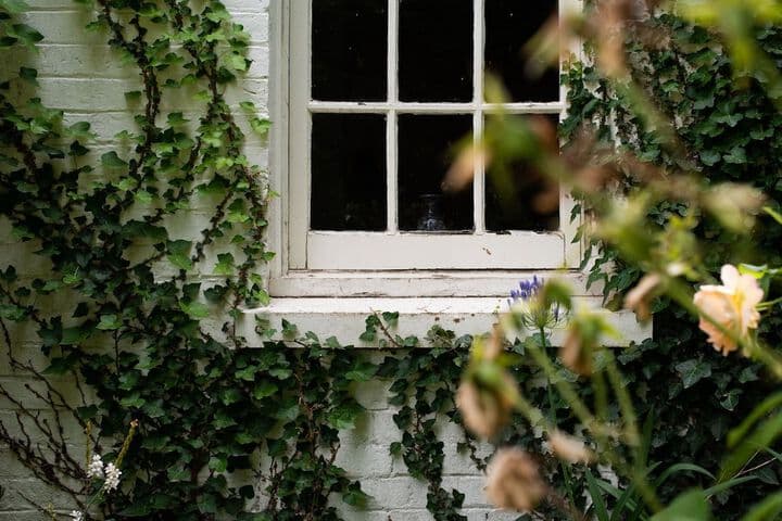 Fitzpatricks Inn photo 3