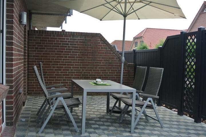 Seestern photo 2