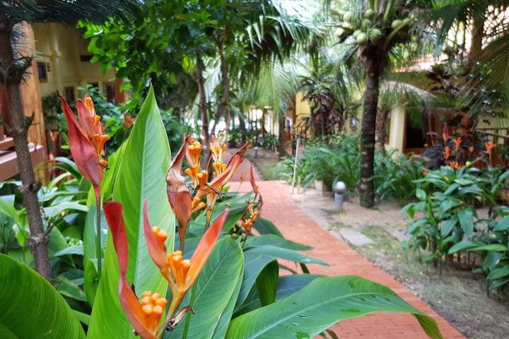 Free Beach Resort photo 5