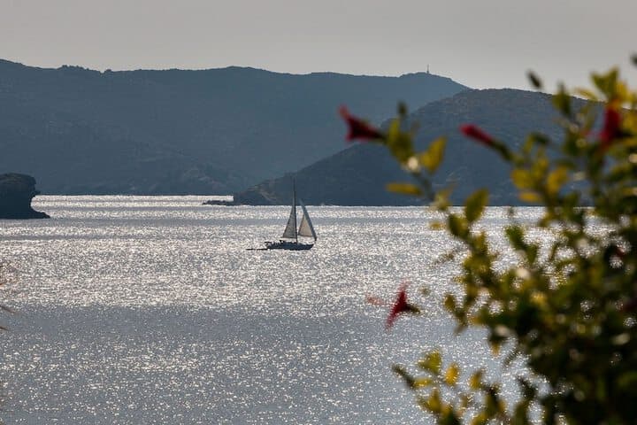 Sea View Studios photo 5