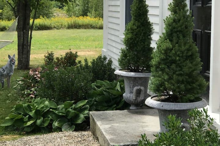 The Orchard House & Cafe photo 5