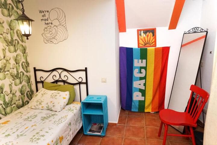Casa Gatos photo 3