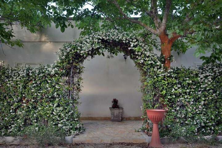 Masseria Lama photo 4