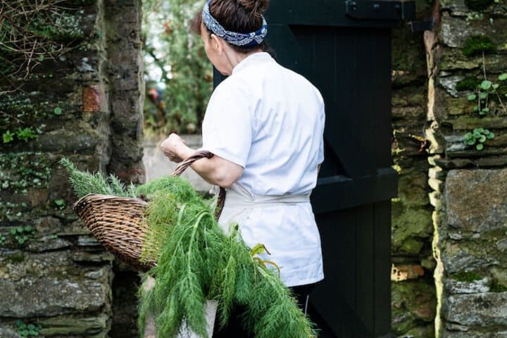 Ballymaloe House Hotel photo 4