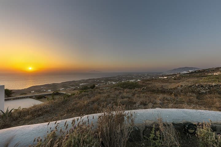 Villa Vinea photo 4