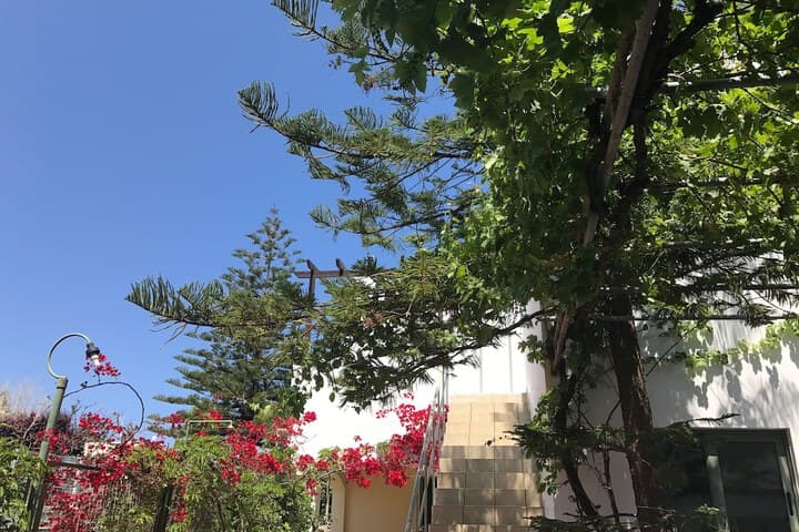 Oleander Apartments photo 3
