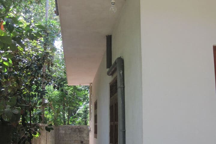 Jungleside House photo 5
