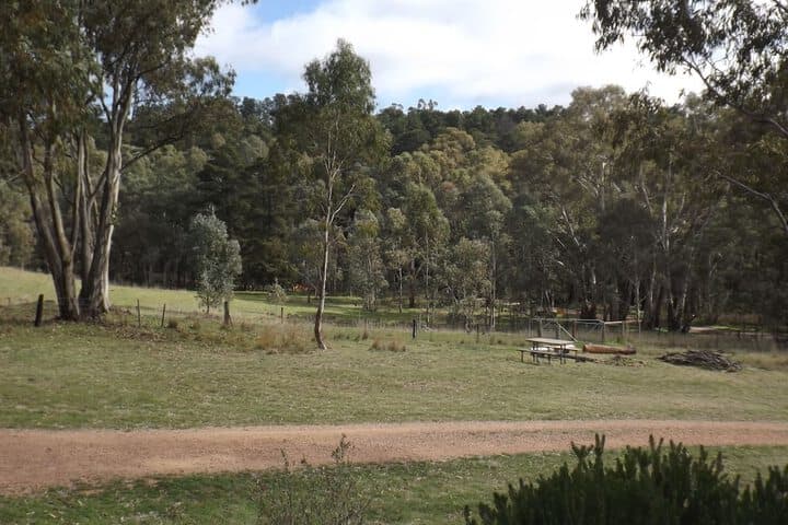 Taralee Orchards photo 2