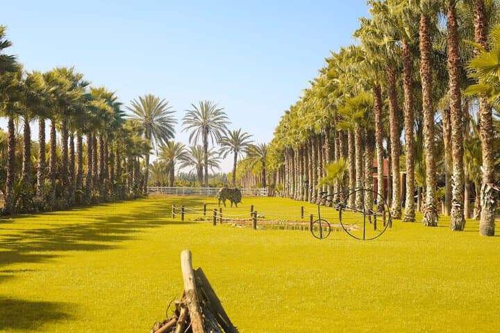 Domaine Villate Limoune photo 5