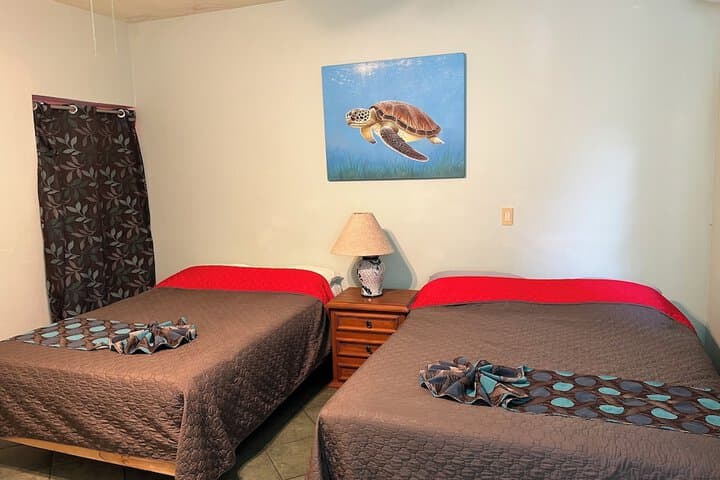 Casa de Sueños photo 4
