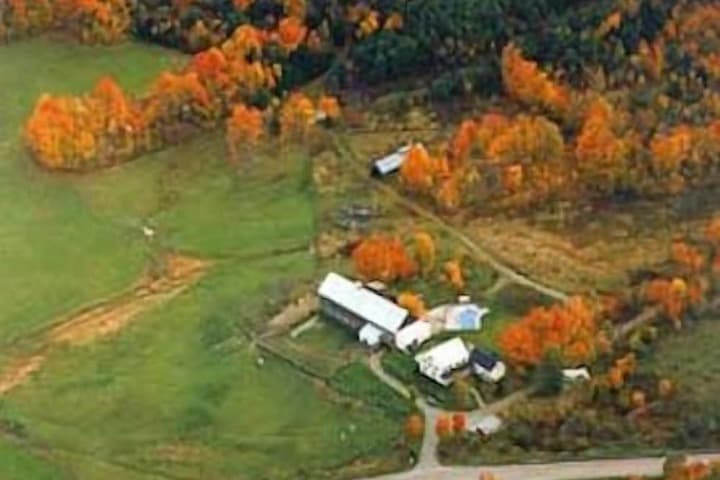 The Inn at Buck Hollow Farm photo 3