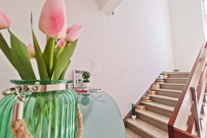 Apartments Rooms PORAT photo 3