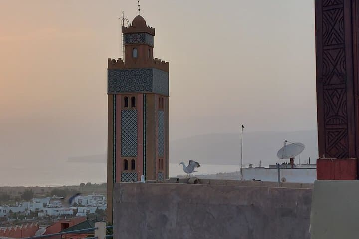 Original Surf Morocco Hostel photo 4