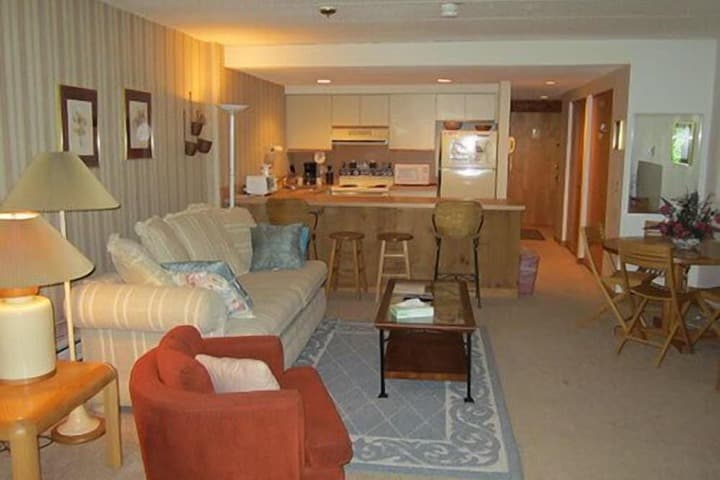 Mount Snow Condominiums photo 4