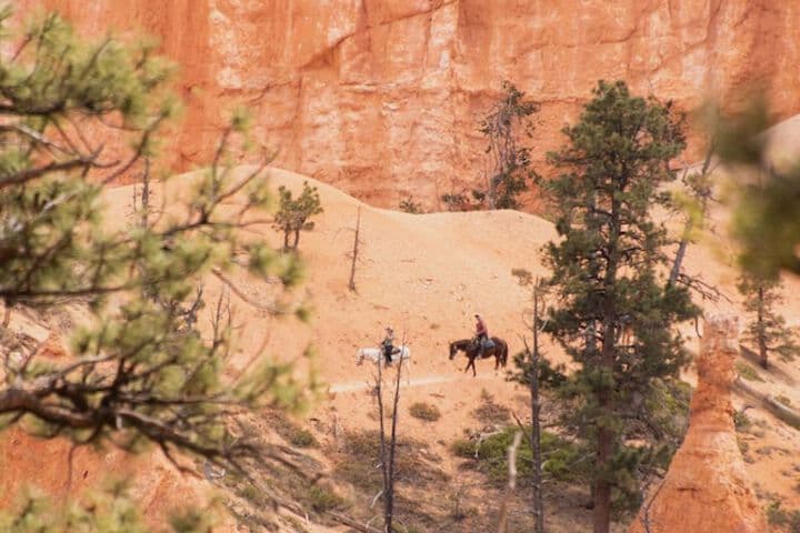 Ofland Escalante photo 5